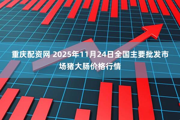 重庆配资网 2025年11月24日全国主要批发市场猪大肠价格行情